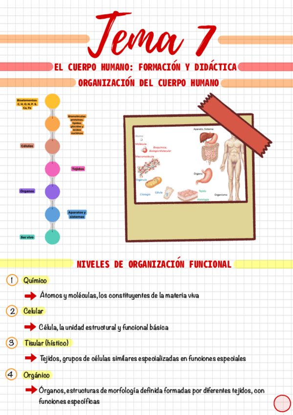 Miniatura del documento Tema-7.pdf
