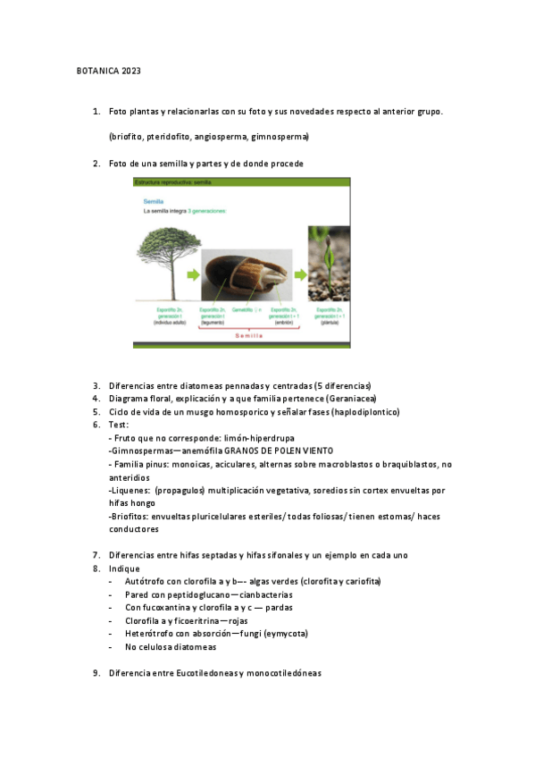 Miniatura del documento EXAMEN-BOTANICA-ORDINARIA-2023.pdf