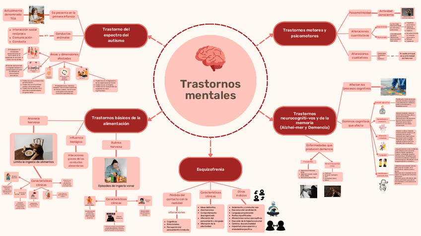 Miniatura del documento Trastornos-mentales.pdf