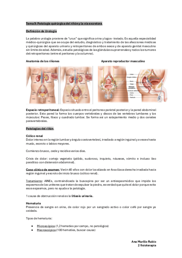 Miniatura del documento Tema-9-afecciones-quirugicas-de-rinon-y-vias-urinarias.pdf