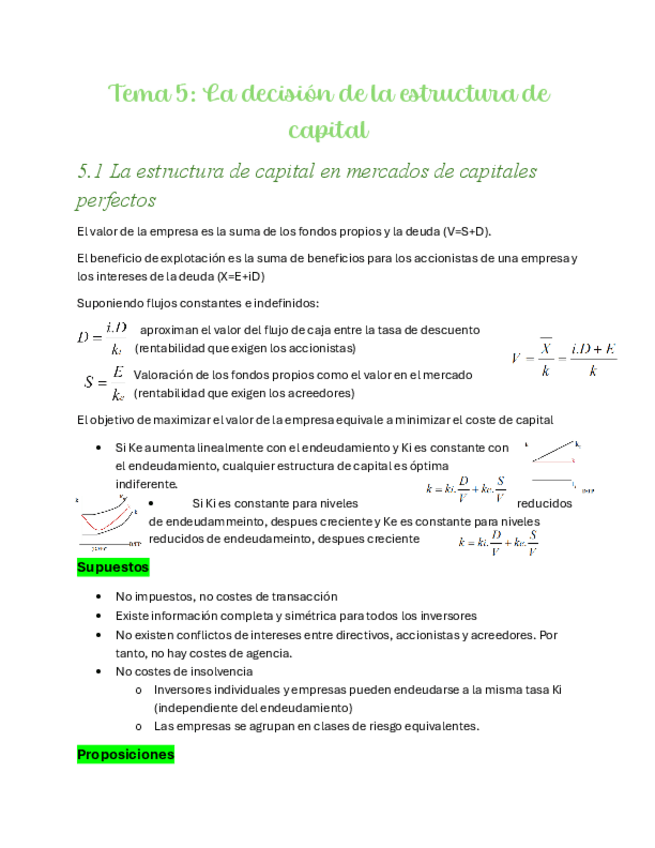 Miniatura del documento Tema-5-La-decision-de-la-estructura-de-capital.pdf