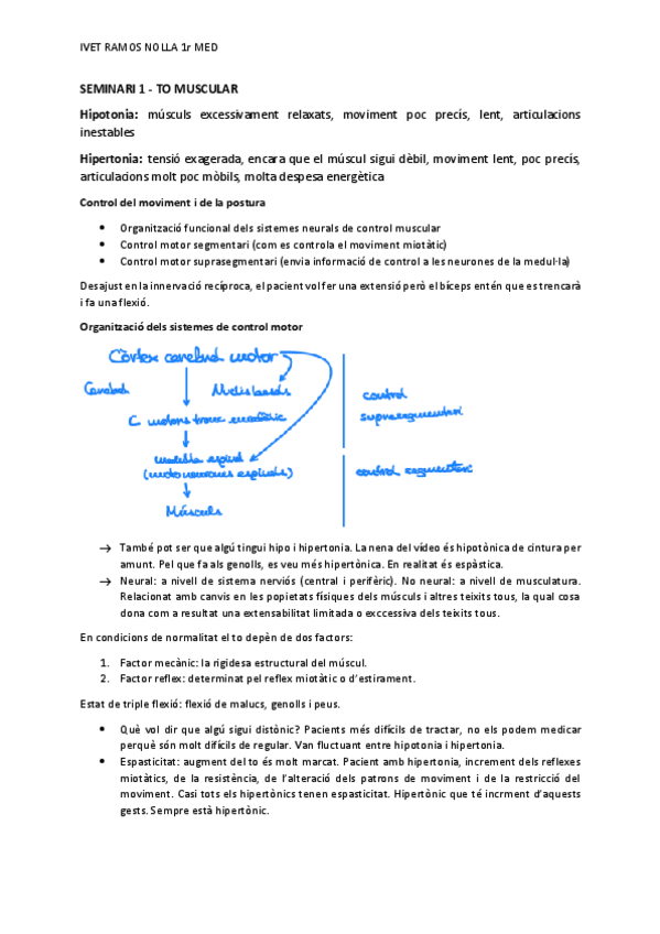 Miniatura del documento SEMINARI-1-BLOC-FISIO-TO-MUSCULAR.pdf