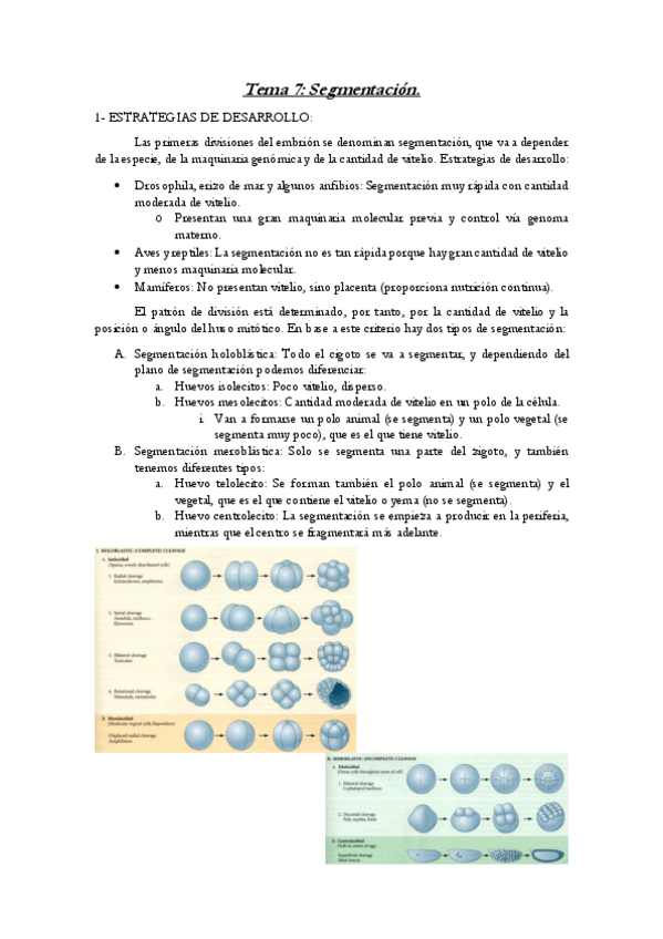 Miniatura del documento Tema-7-Bio-del-Desarrollo.pdf