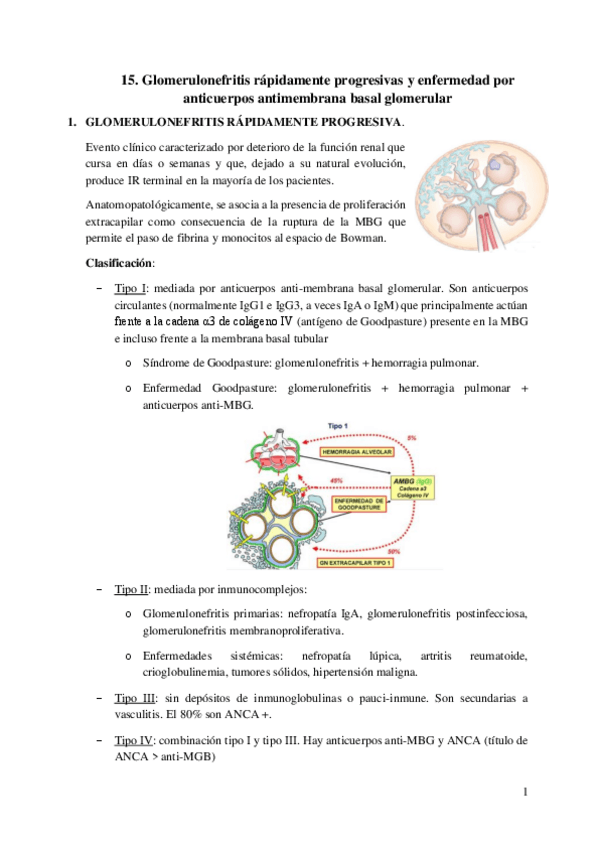 Miniatura del documento 15.-Glomerulonefritis-rapidamente-progresivas-y-enfermedad-por-anticuerpos-antimembrana-basal-glomerular.pdf