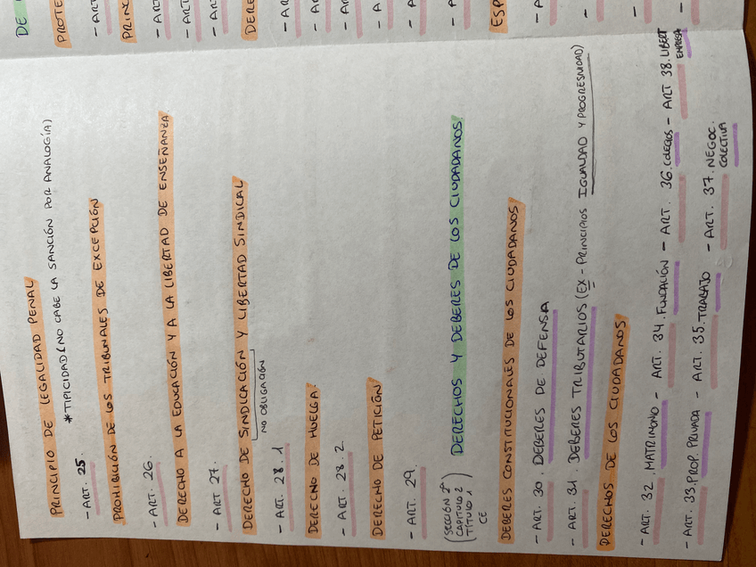 Miniatura del documento IMG1671.jpeg