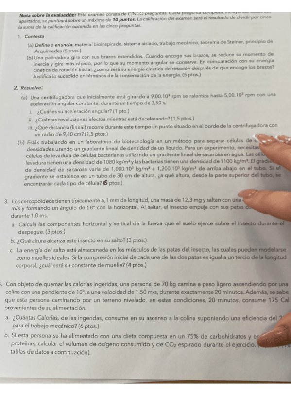 Miniatura del documento examen-enero-2024.pdf