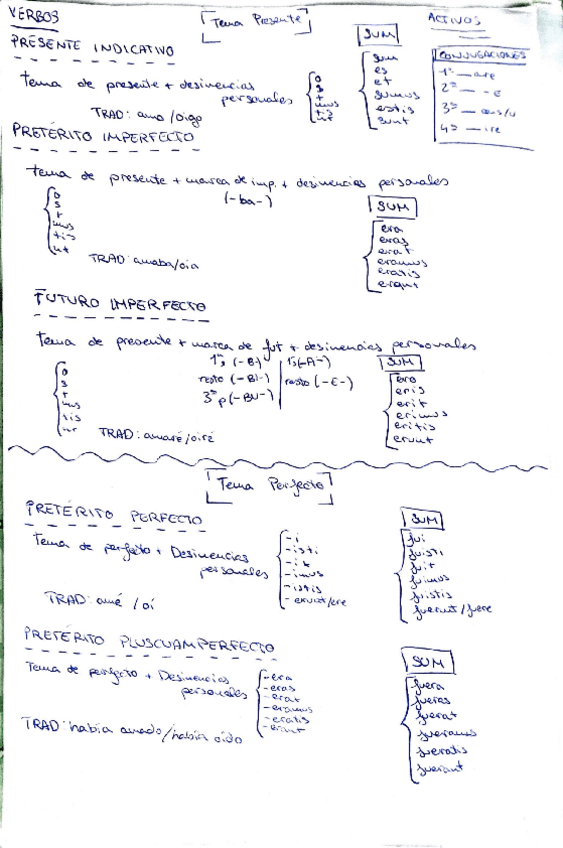 Miniatura del documento verbos-latin.pdf