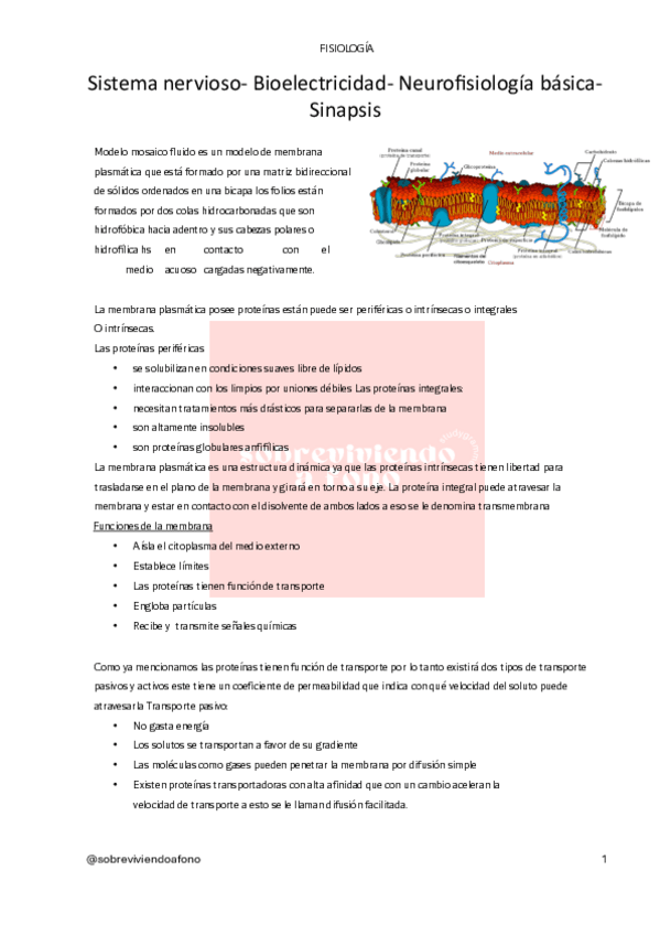 Miniatura del documento Fisiologia.pdf