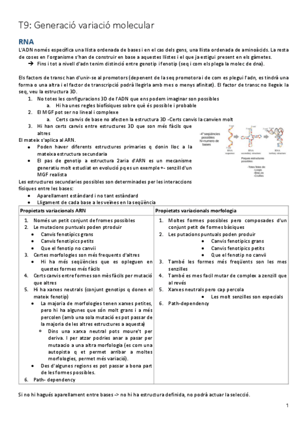 Miniatura del documento T9.pdf