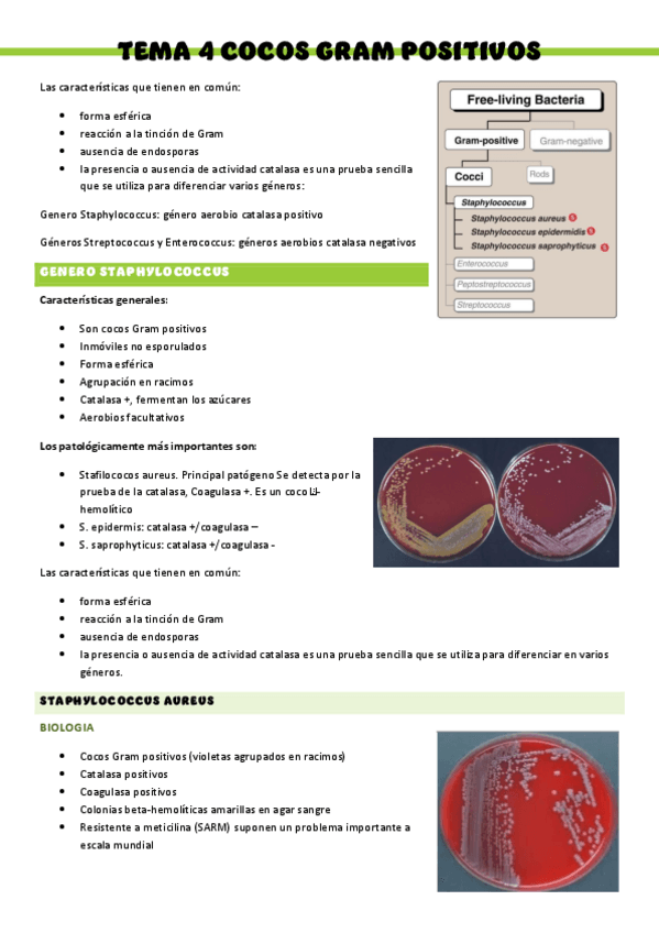 Miniatura del documento Microbiologia-T4.pdf