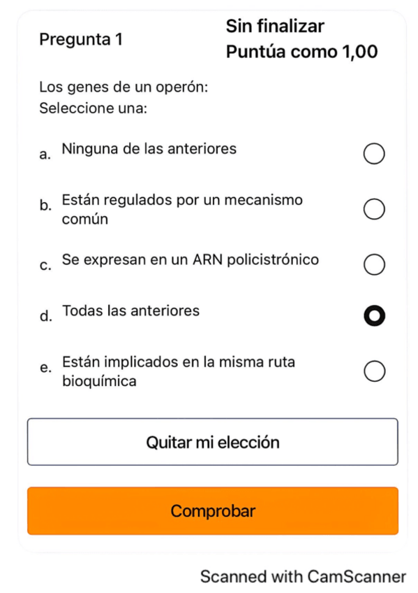 Miniatura del documento CuestionarioT.15y16-todascorrectas.pdf