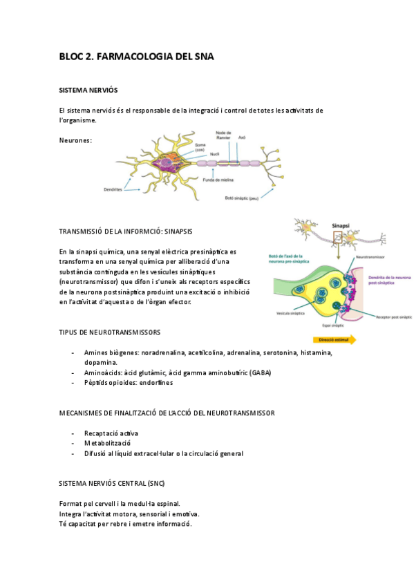 Miniatura del documento BLOC-2-farmacologia-del-SNA.pdf