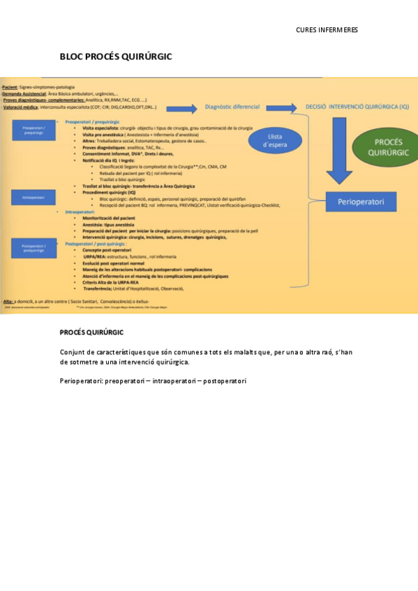 Miniatura del documento BLOC-PROCES-QUIRURGIC.pdf