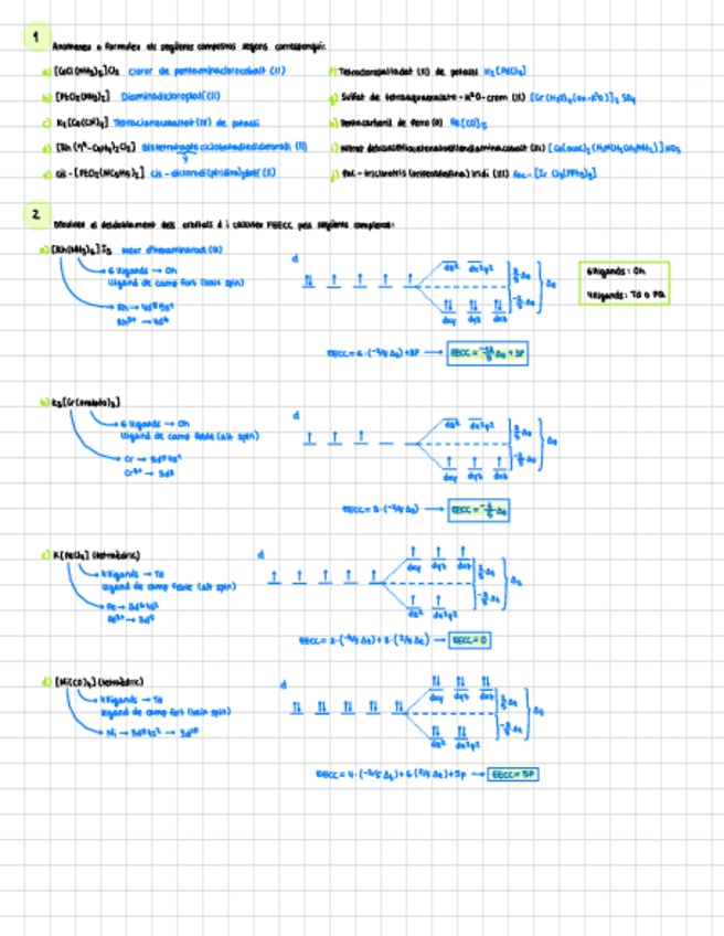 Miniatura del documento Activitats-Full-3.pdf
