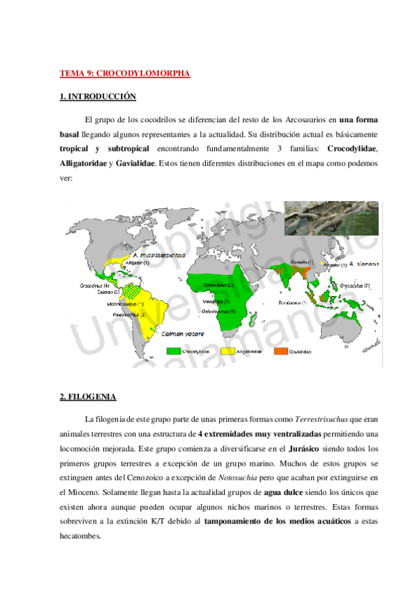 Miniatura del documento AP-Fauna-Tema-9-WH.pdf