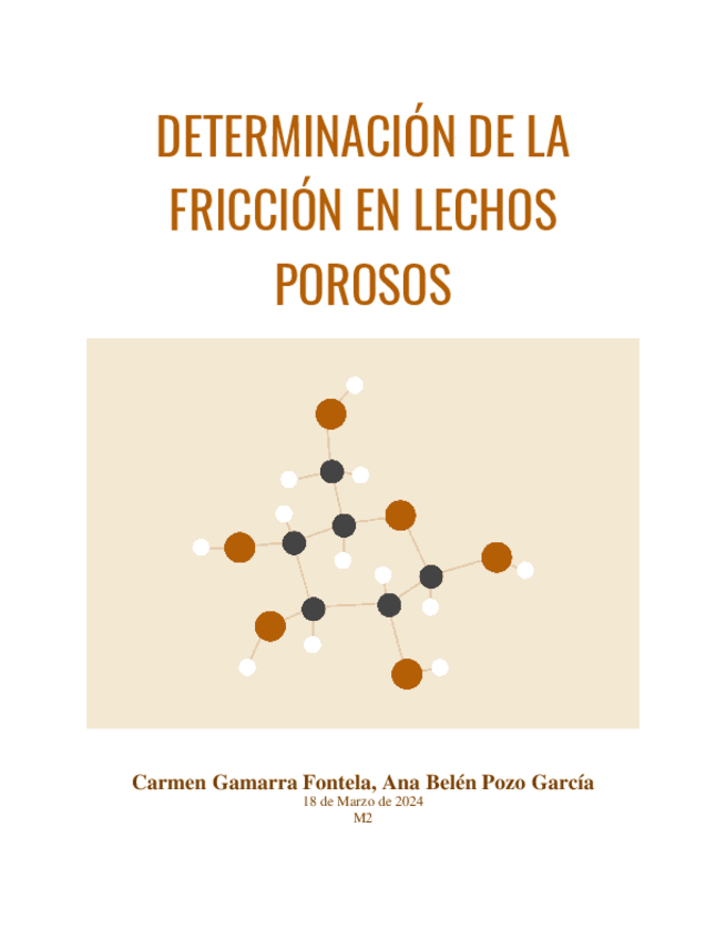 Miniatura del documento INFORME-DETERMINACION-DE-LA-REACCION-DE-LECHOS-POROSOS..pdf