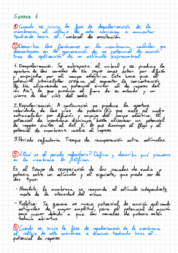 Miniatura del documento Tareas-Semanales.pdf