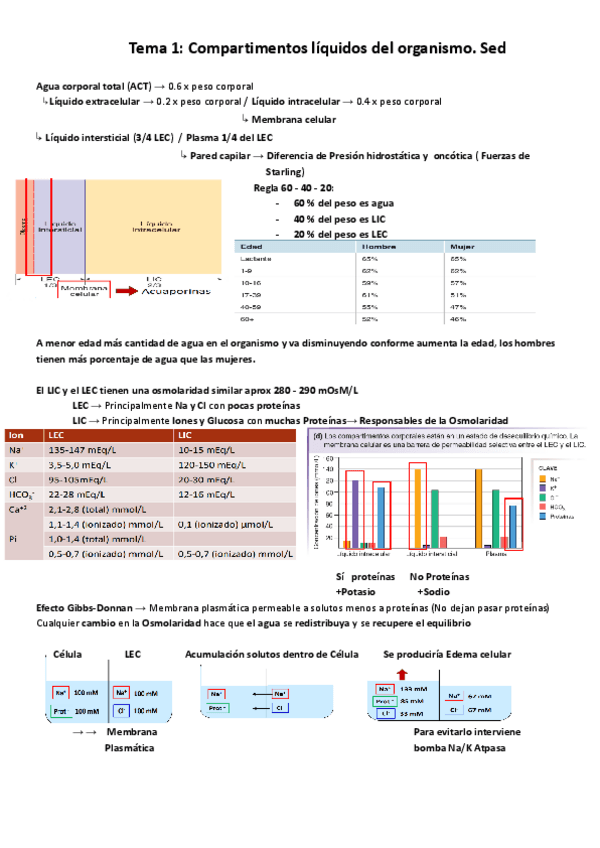 Miniatura del documento Fisiología II: Temas 1-4.pdf