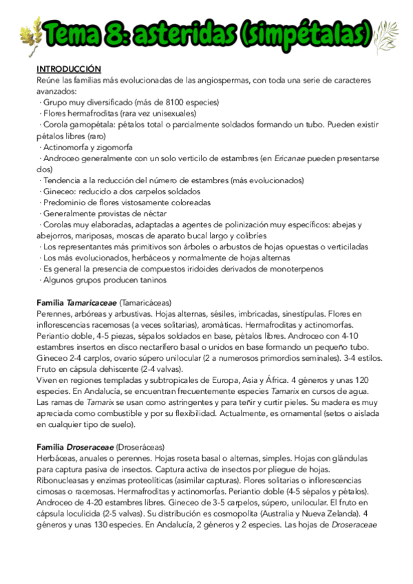 Miniatura del documento TEMA-8-BOTANICA-II.pdf