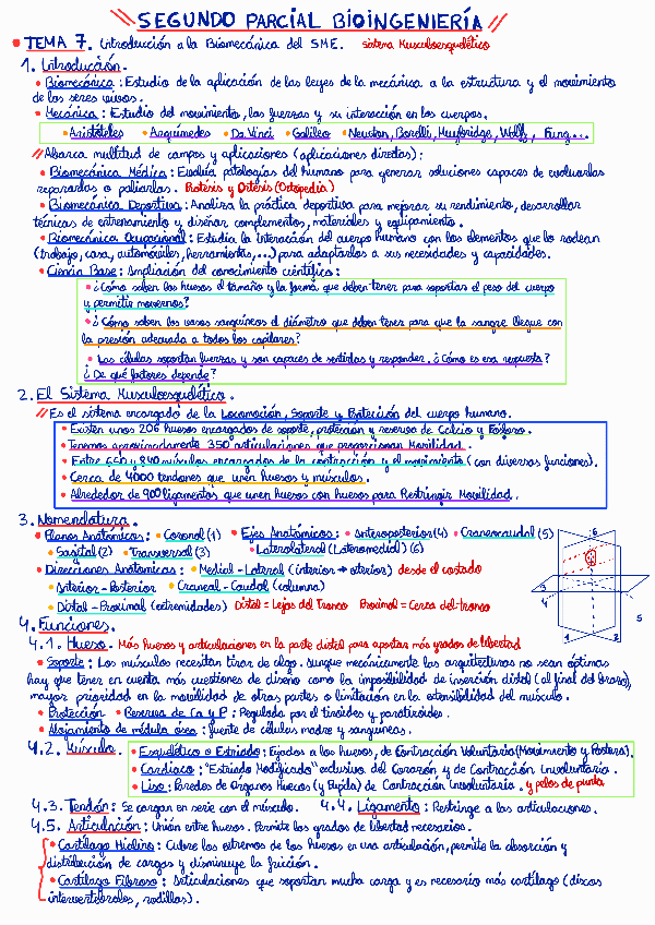 Miniatura del documento Resumen-Parcial-2-Bioingenieria.pdf