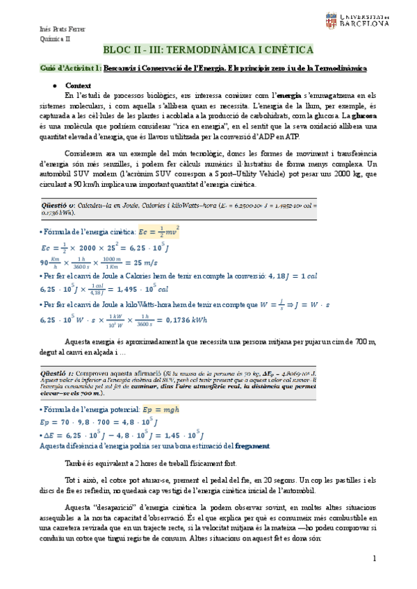 Miniatura del documento Portfoli.pdf