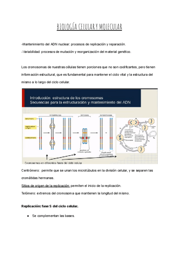 Miniatura del documento BIO-1er-seminario.pdf