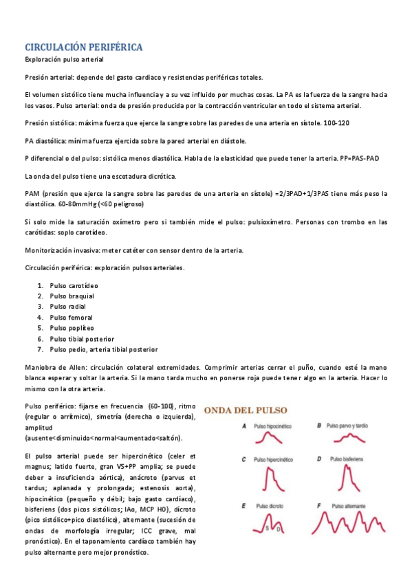 Miniatura del documento CIRCULACION-PERIFERICA.pdf