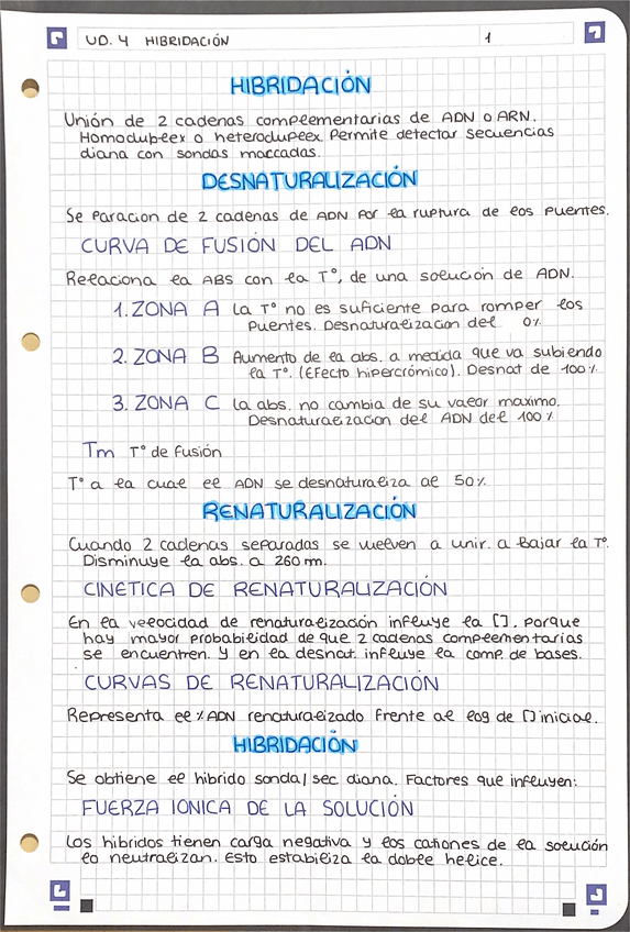 Miniatura del documento Hibridacion-Resumen.pdf