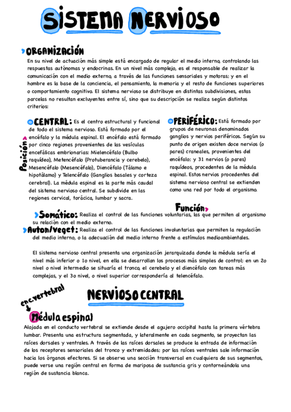Miniatura del documento Fisiologia.-Tema-nervioso.pdf