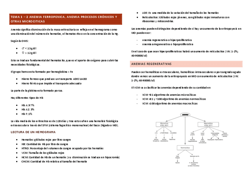 Miniatura del documento TEMA-1-2-ANEMIAS.pdf