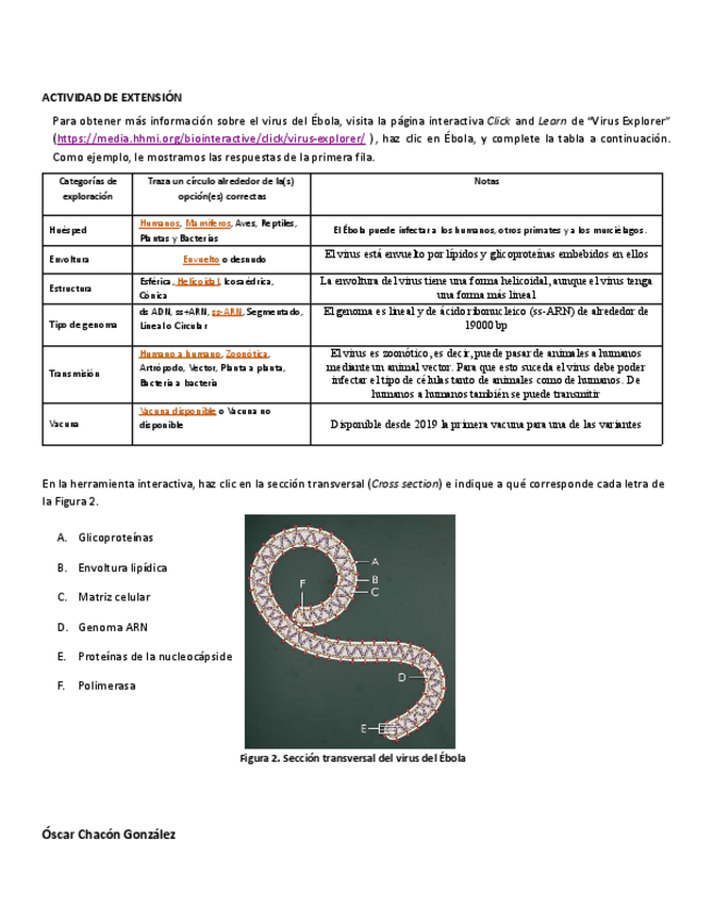 Miniatura del documento vir-ebola.pdf