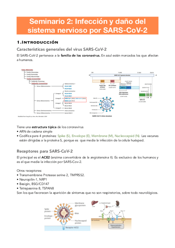 Miniatura del documento Seminario-2.-Infeccion-y-dano-del-sistema-nervioso-por-SARS-CoV-2.pdf