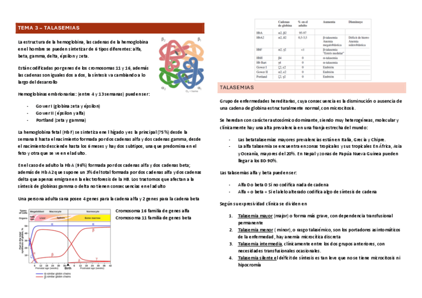 Miniatura del documento TEMA-3.pdf