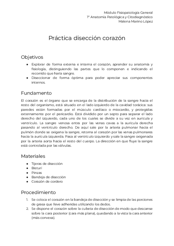 Miniatura del documento Informe-de-practica.-Diseccion-corazon.pdf