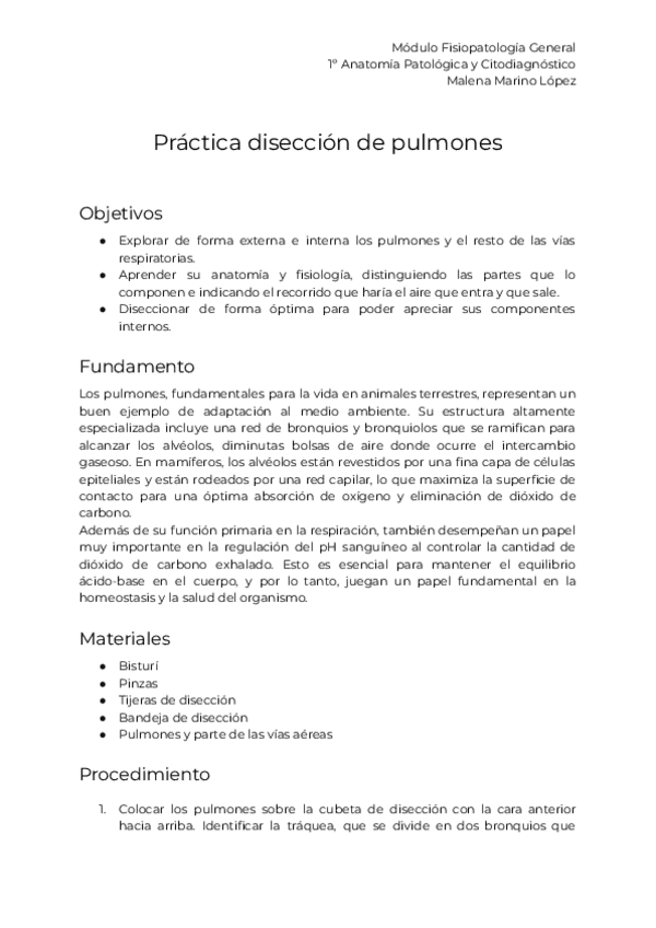 Miniatura del documento Informe-de-practica.-Diseccion-pulmon.pdf