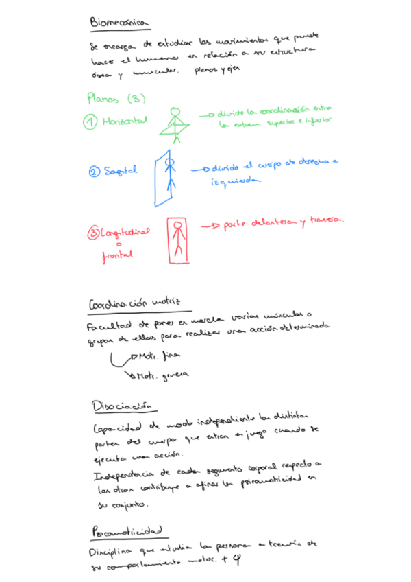 Miniatura del documento Bapne-Biomecanica-y-lateralidad.pdf