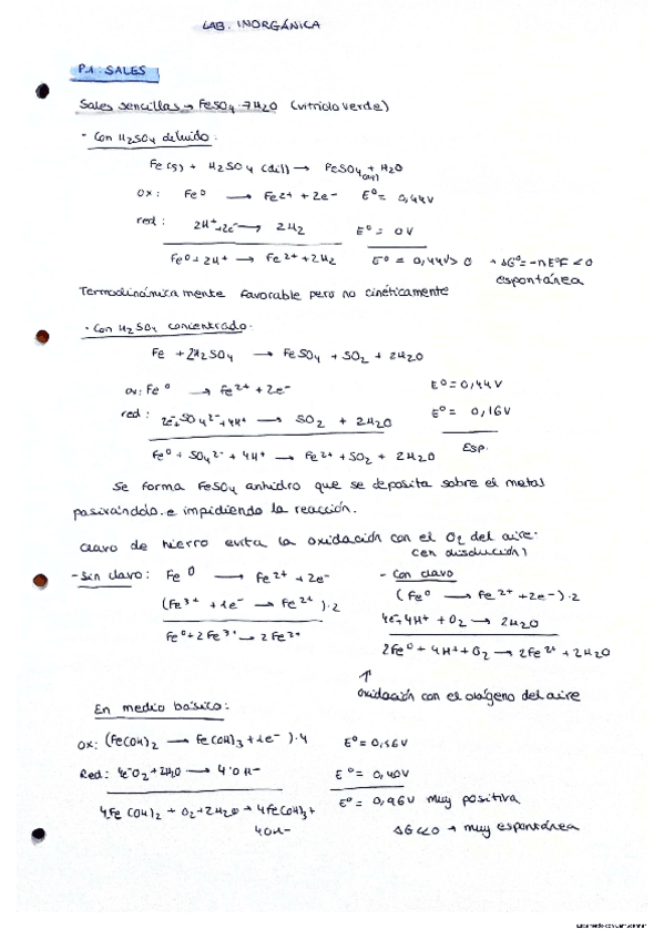 Miniatura del documento TODAS-las-reacciones-lab-inorganica.pdf