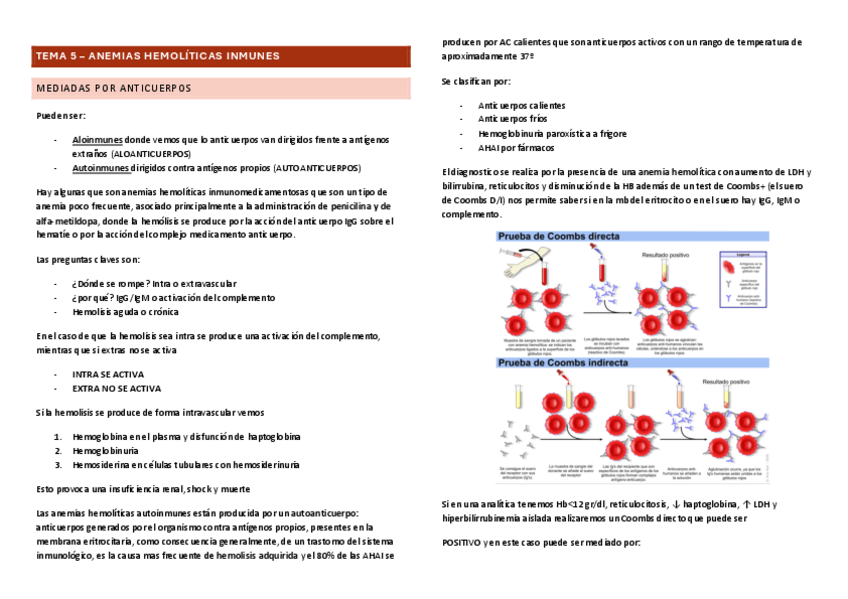 Miniatura del documento tema-5-AHAI.pdf