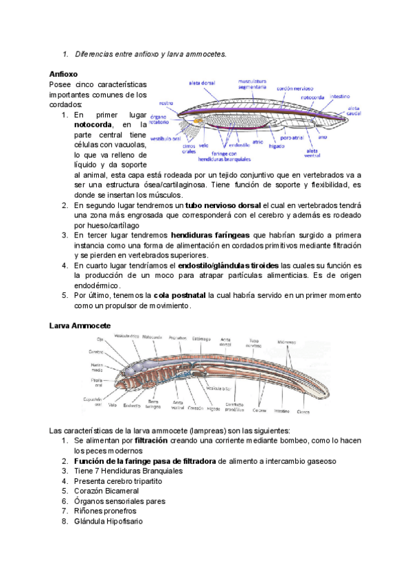 Miniatura del documento Examen-Julio.pdf