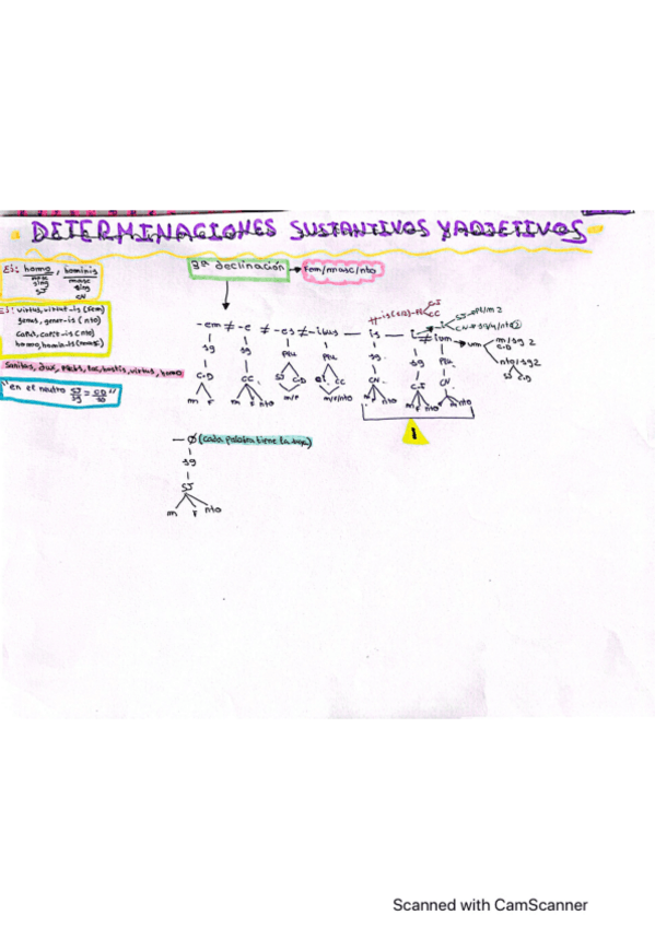 Miniatura del documento 3a-declinacion-Latin.pdf