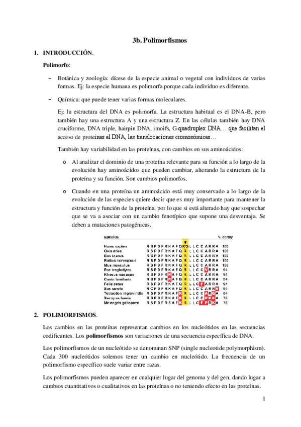 Miniatura del documento 3b.-Polimorfismos.pdf
