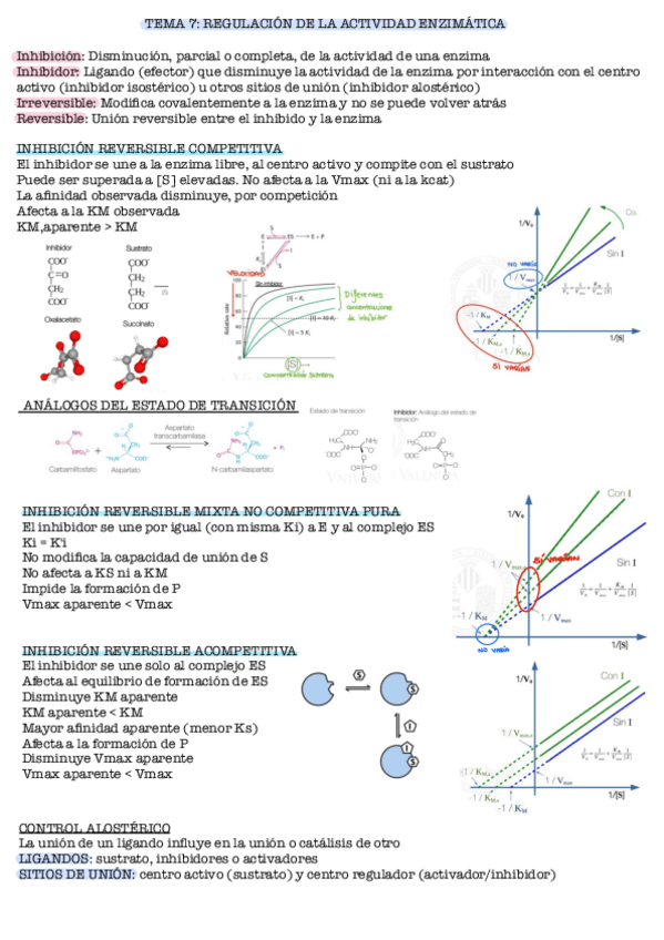 Miniatura del documento TEMA-7-BIOQUIMICA.pdf