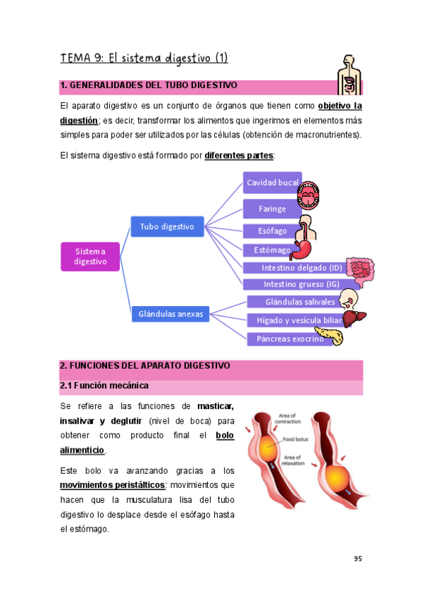 Miniatura del documento T.9-EYFCHII.pdf