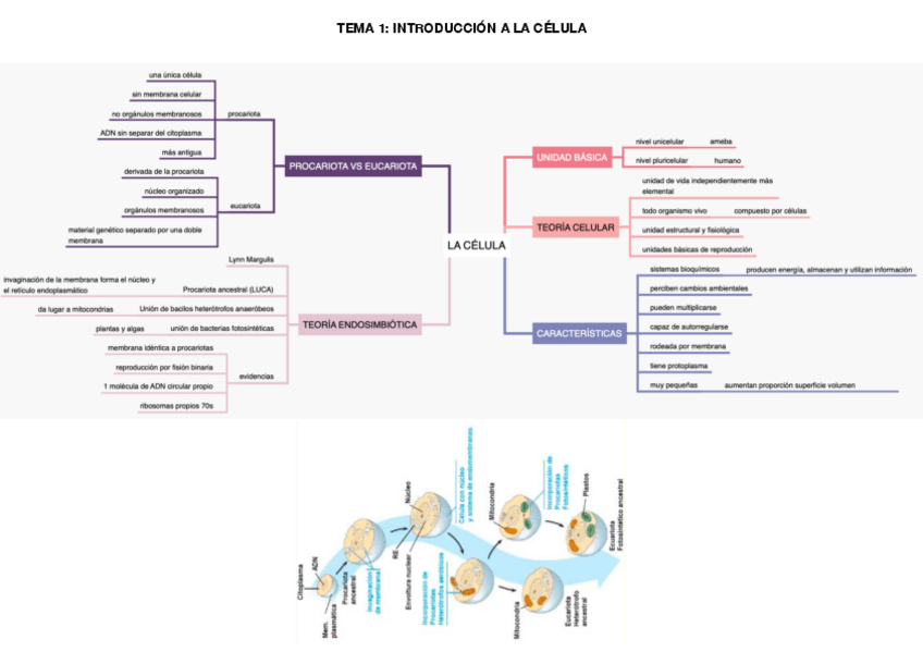 Miniatura del documento ESQUEMAS-1-10.pdf