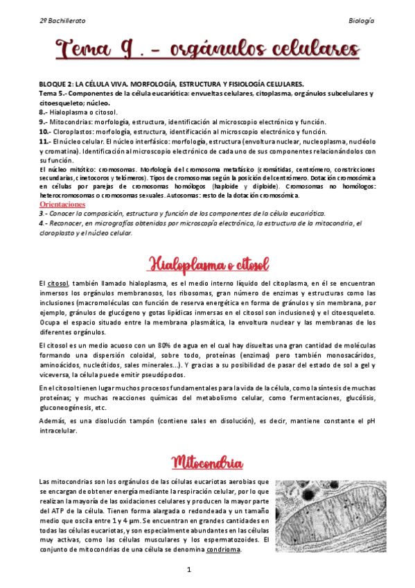 Miniatura del documento 9-Organulos-celulares.pdf