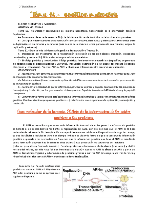 Miniatura del documento 14-Genetica-molecular.pdf