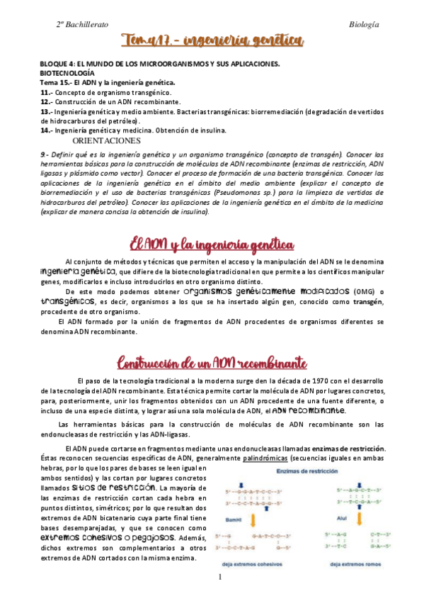 Miniatura del documento 17-Ingenieria-genetica.pdf