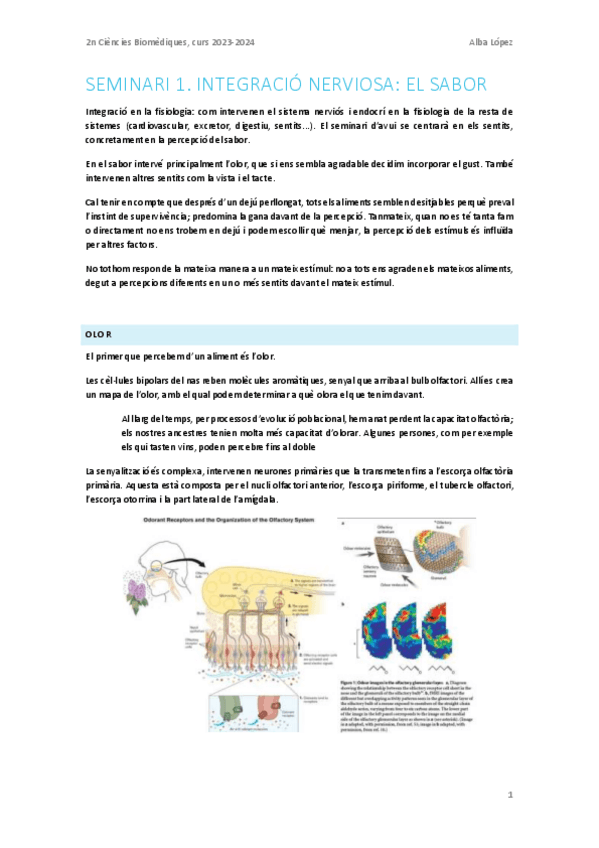 Miniatura del documento Seminari-1.-Percepcio-del-sabor.pdf