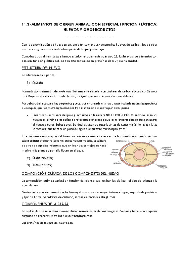 Miniatura del documento 11.3-ALIMENTOS-DE-ORIGEN-ANIMAL-CON-ESPECIAL-FUNCION-PLASTICA-HUEVOS-Y-OVOPRODUCTOS.pdf