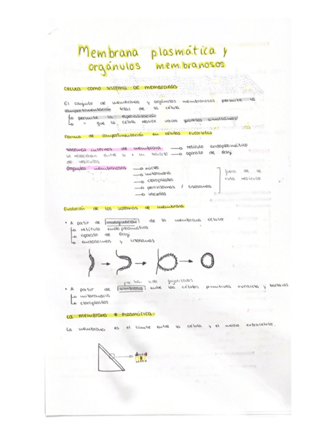 Miniatura del documento Membrana-plasmatica-y-organulos-membranosos.pdf